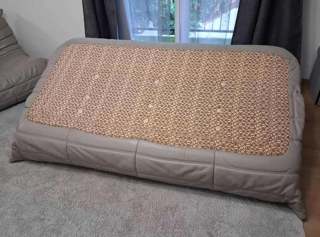 Togo sofa line roset