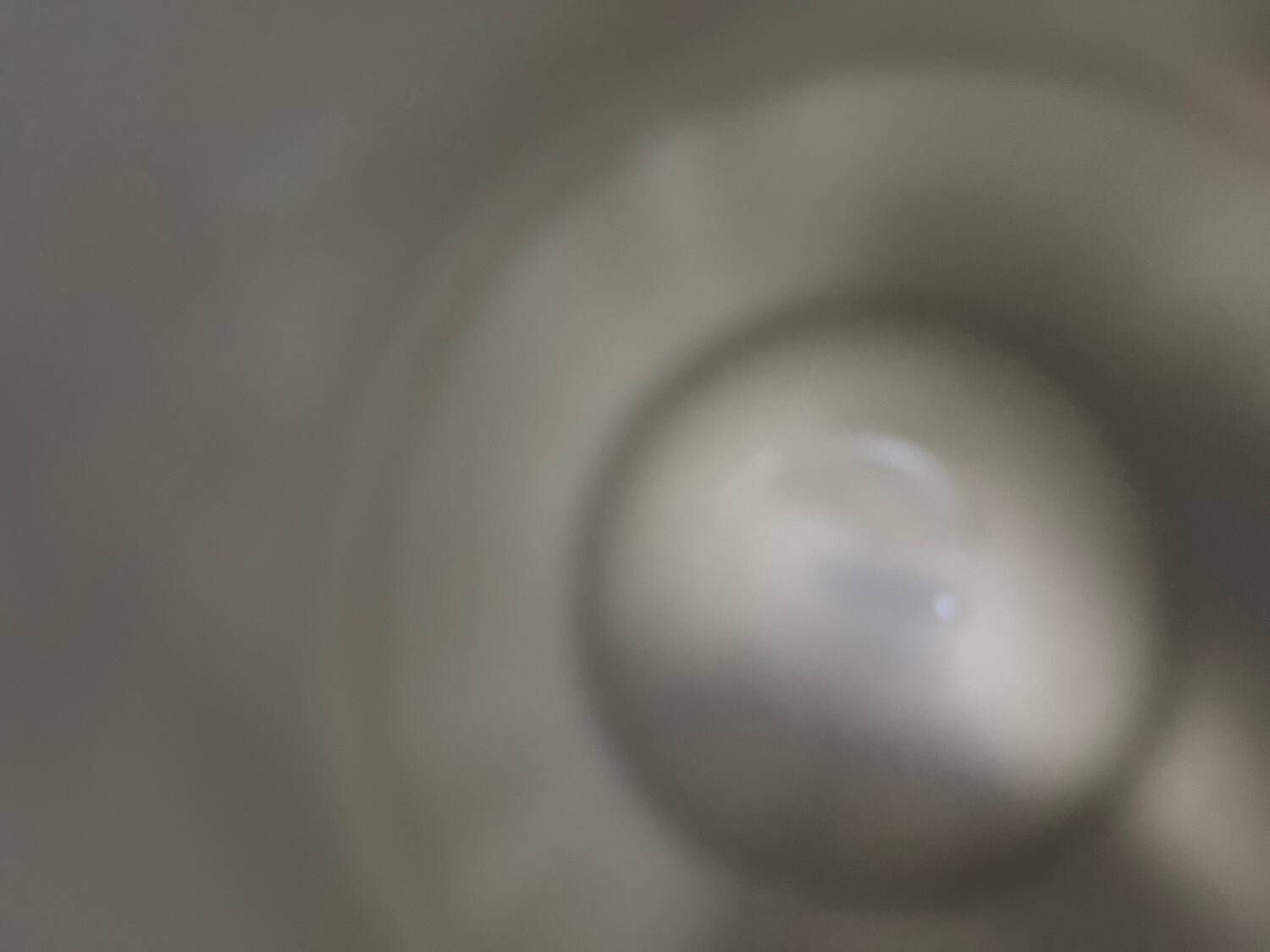 Limoges porcelain coffee cups and saucers