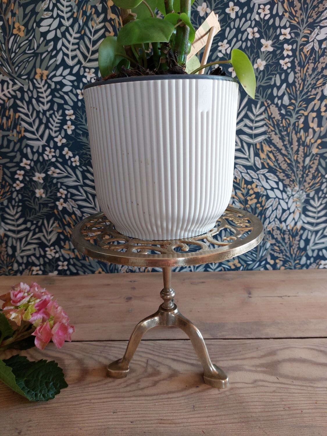 Tripod plant holder in gilded brass