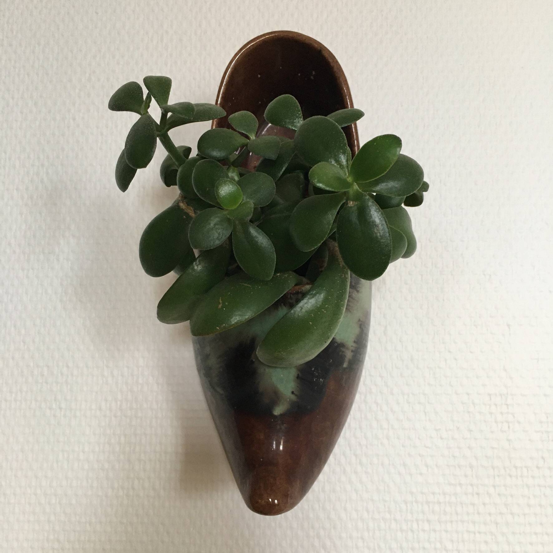 Ceramic wall planter