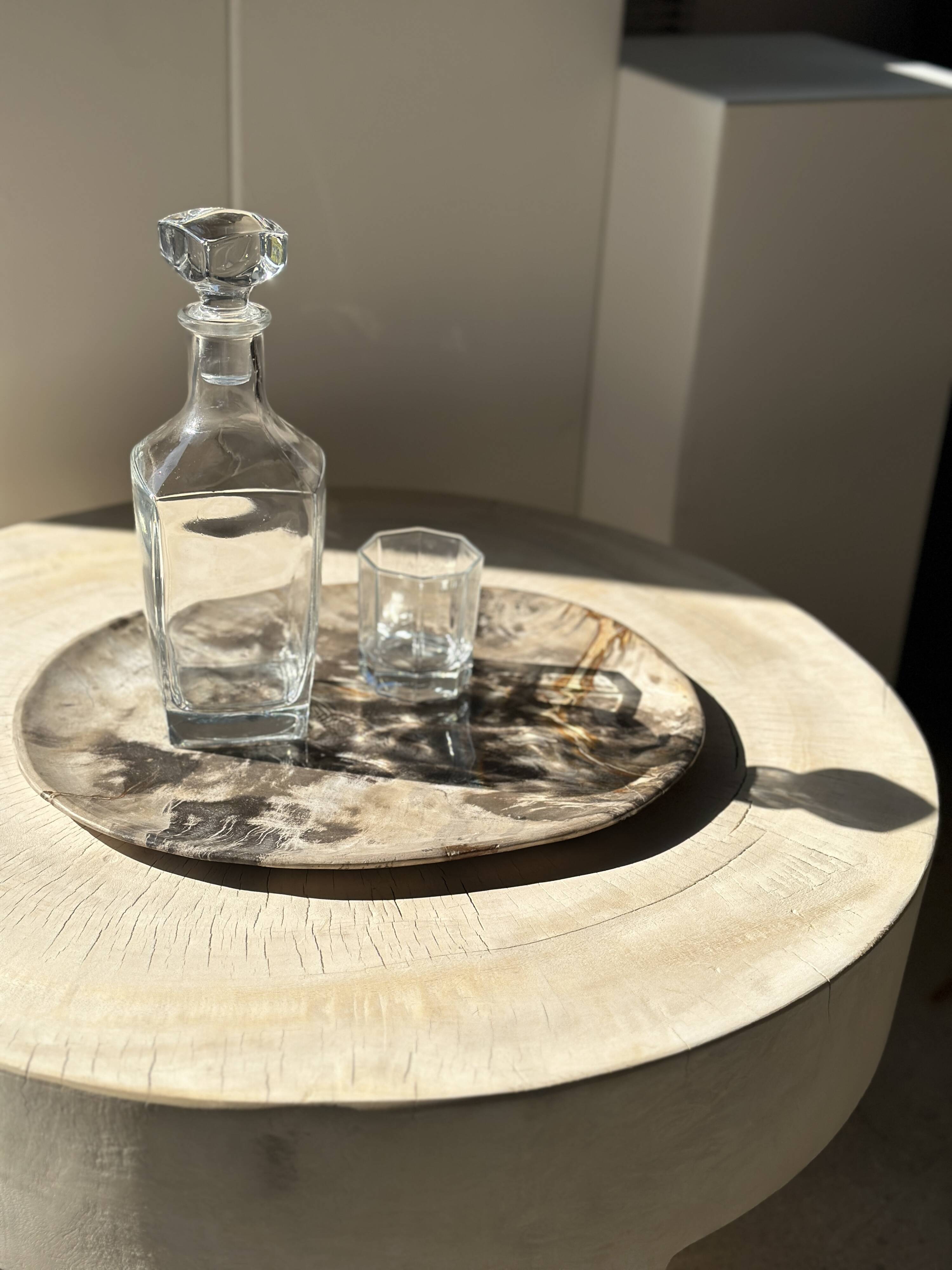 Very large pocket or dish in petrified wood