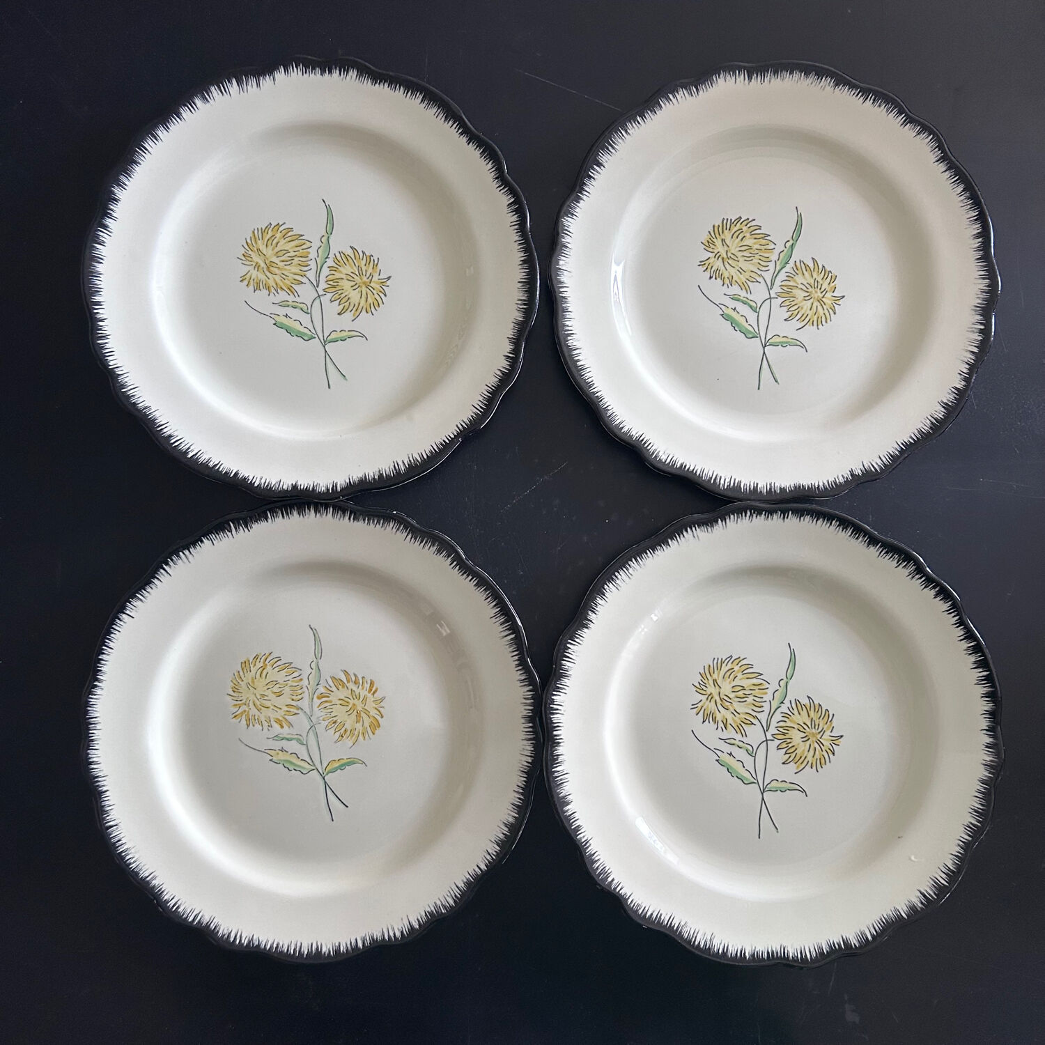 Ainay Salins 4-piece plate set