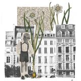 Print Collage Format A3. The Mischievous