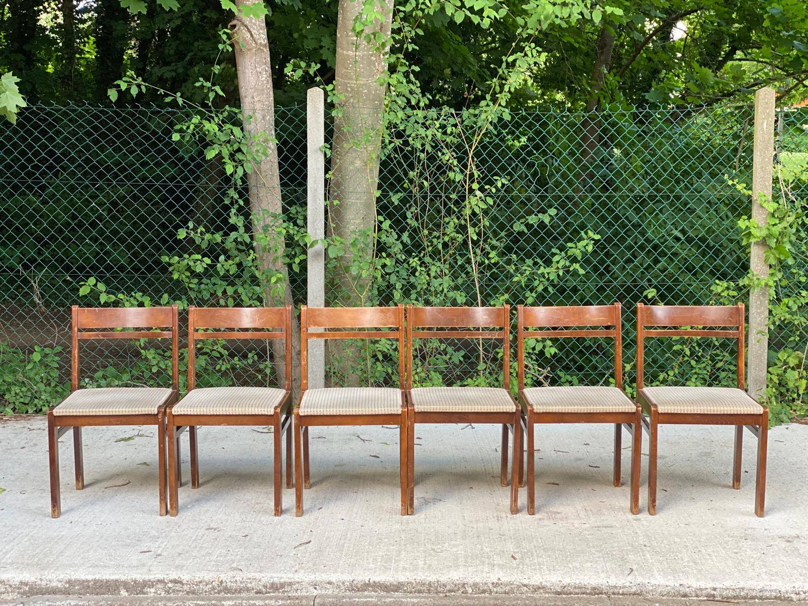 6 Scandinavian Baumann chairs in solid wood and beige fabric.