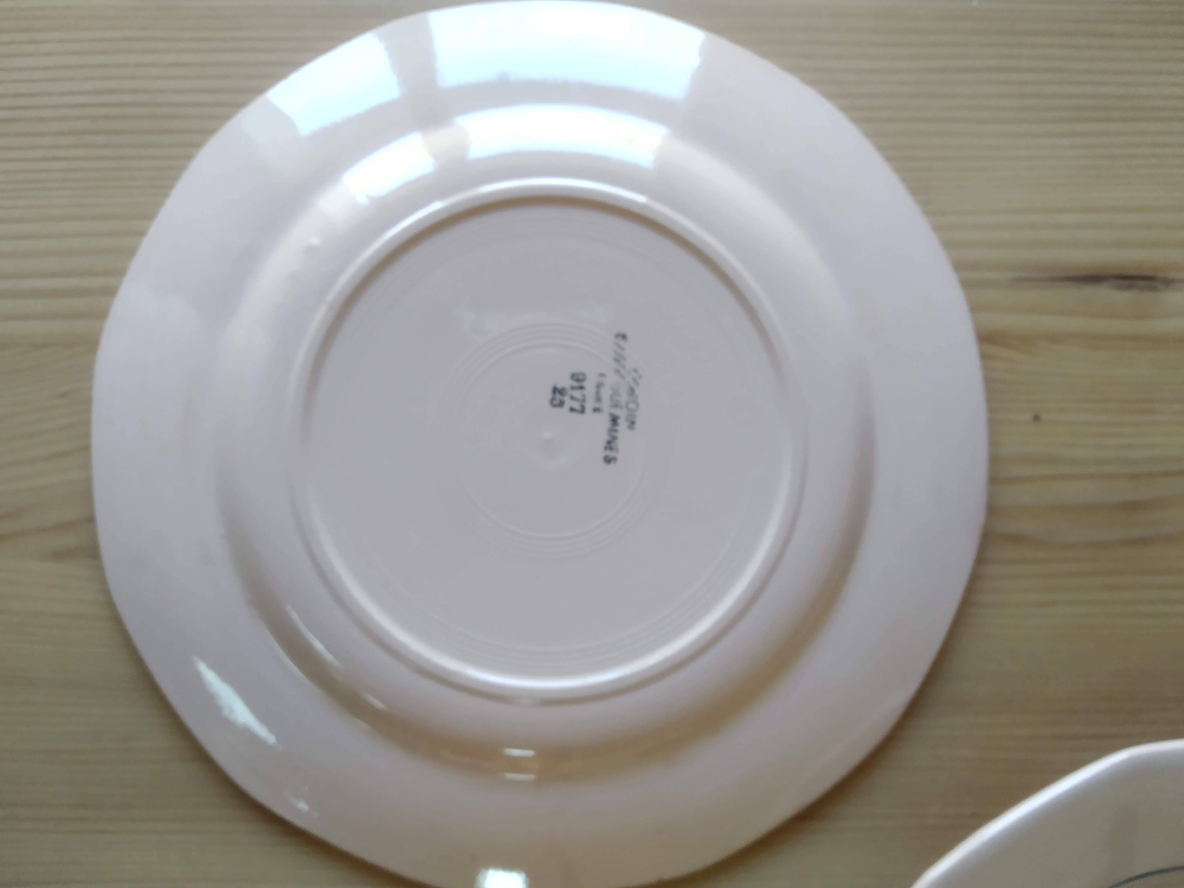 6 Digoin Hand-Painted Flower Plates