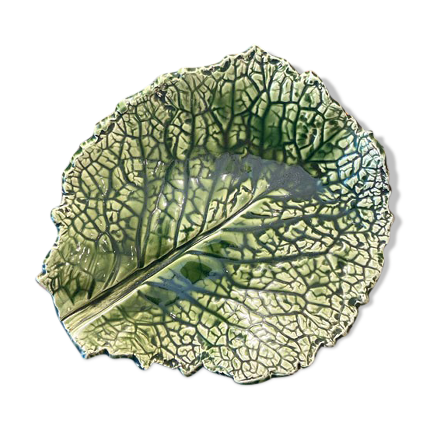 Empty cabbage leaf pocket