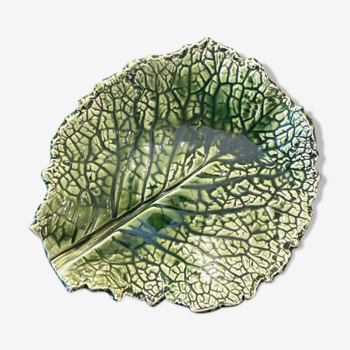 Empty cabbage leaf pocket