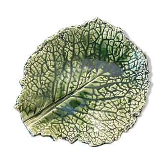 Empty cabbage leaf pocket