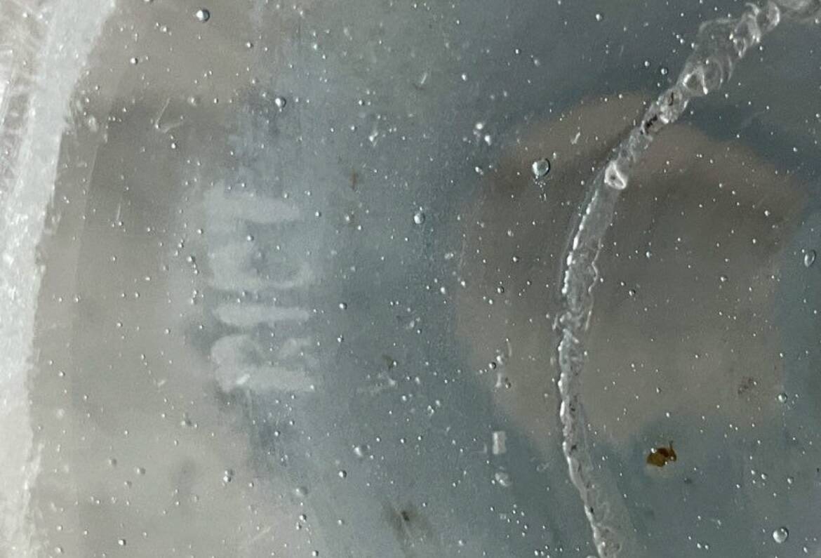 BIOT blue glass vase