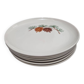 6 Villeroy and Boch Plates