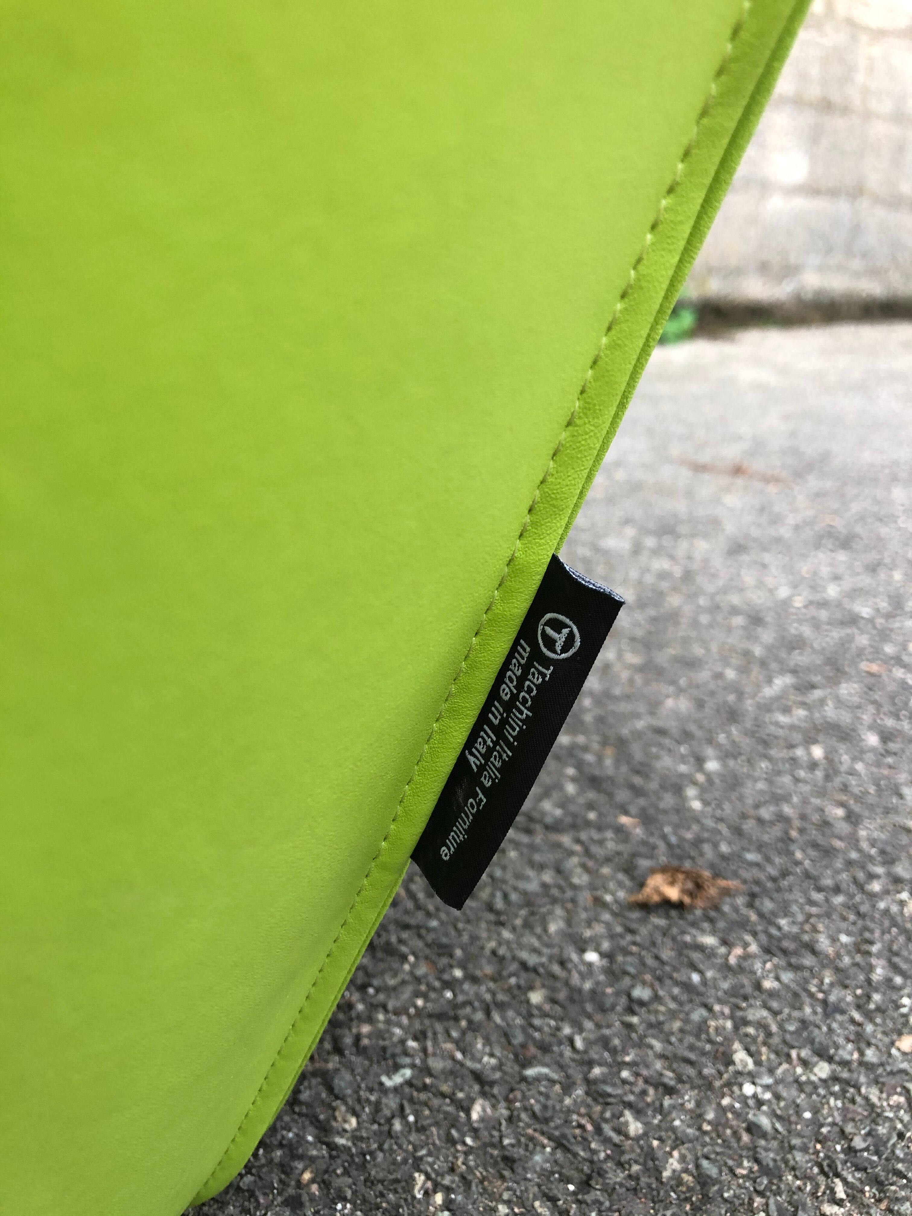 2 Tacchini Green Polar Beanbags