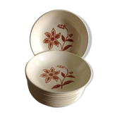 Set de 10 assiettes creuses