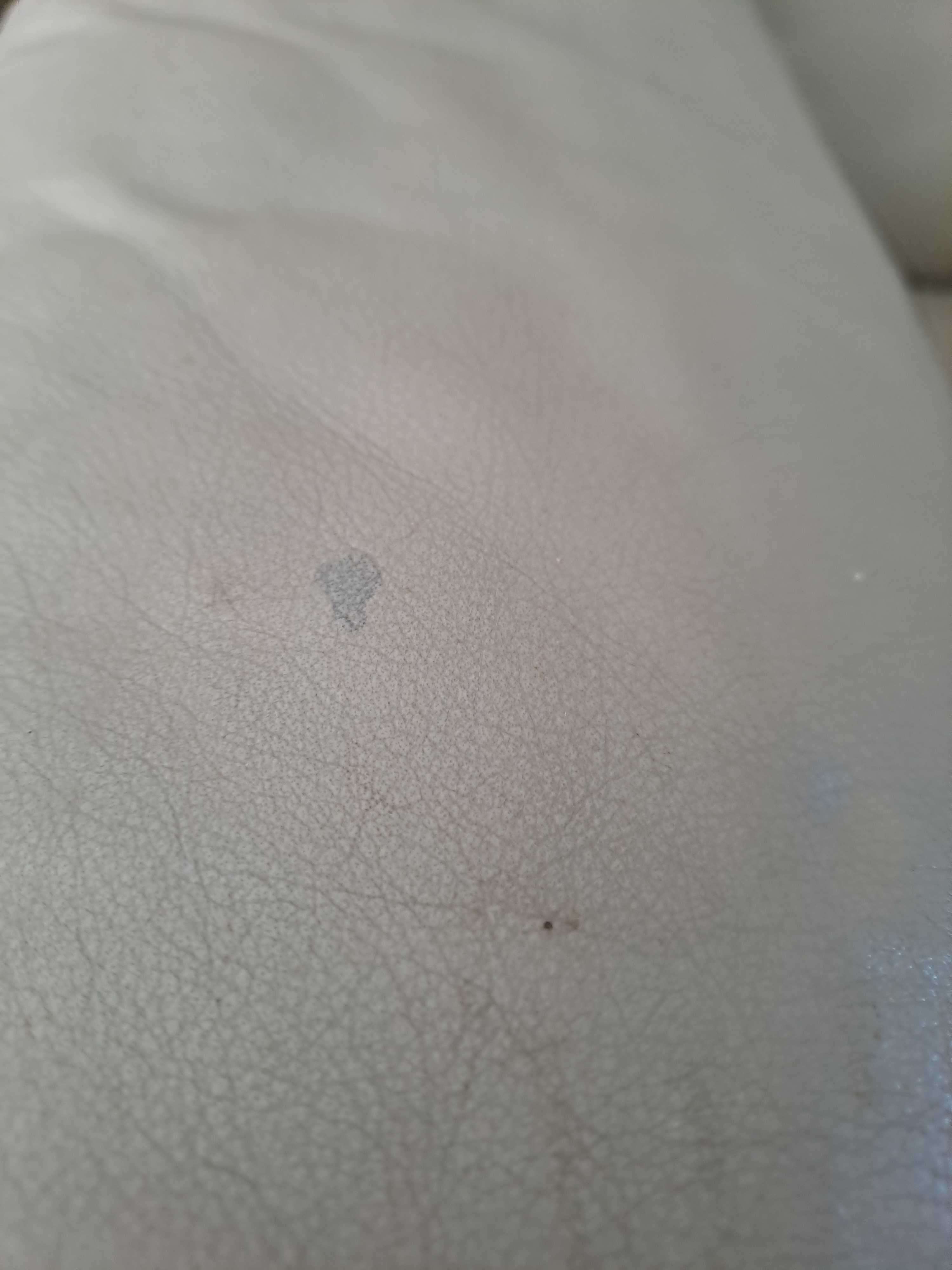 Pair of Leolux design armchairs