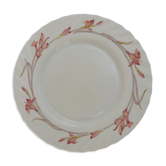 Vintage plates Arcopal iris 1980