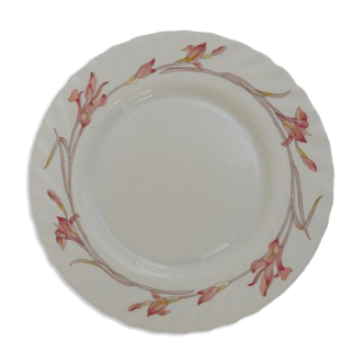 Vintage plates Arcopal iris 1980