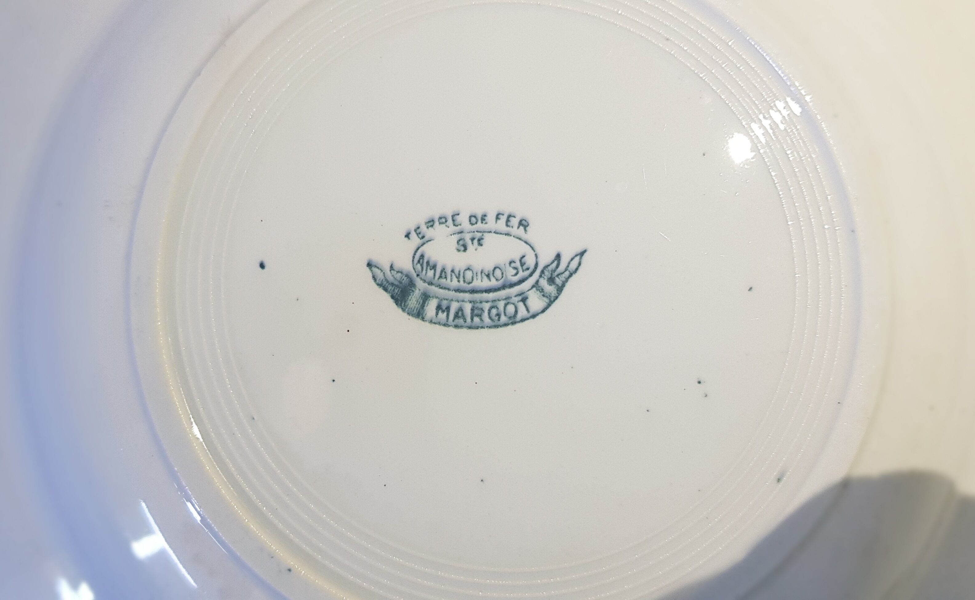 5 soup plates in St. Amandinoise earthenware model Margot, iron earth.