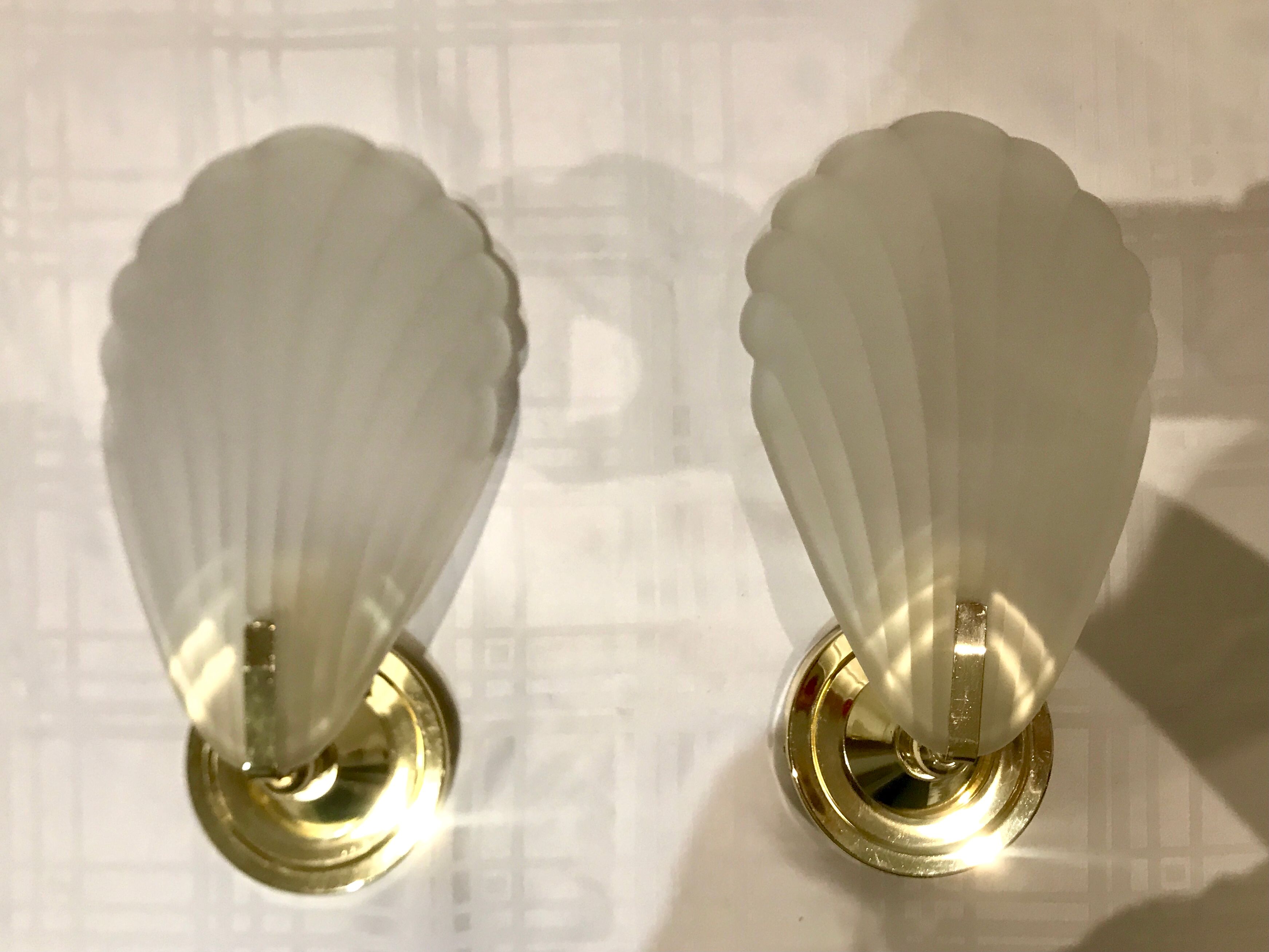 Pair of shell sconces