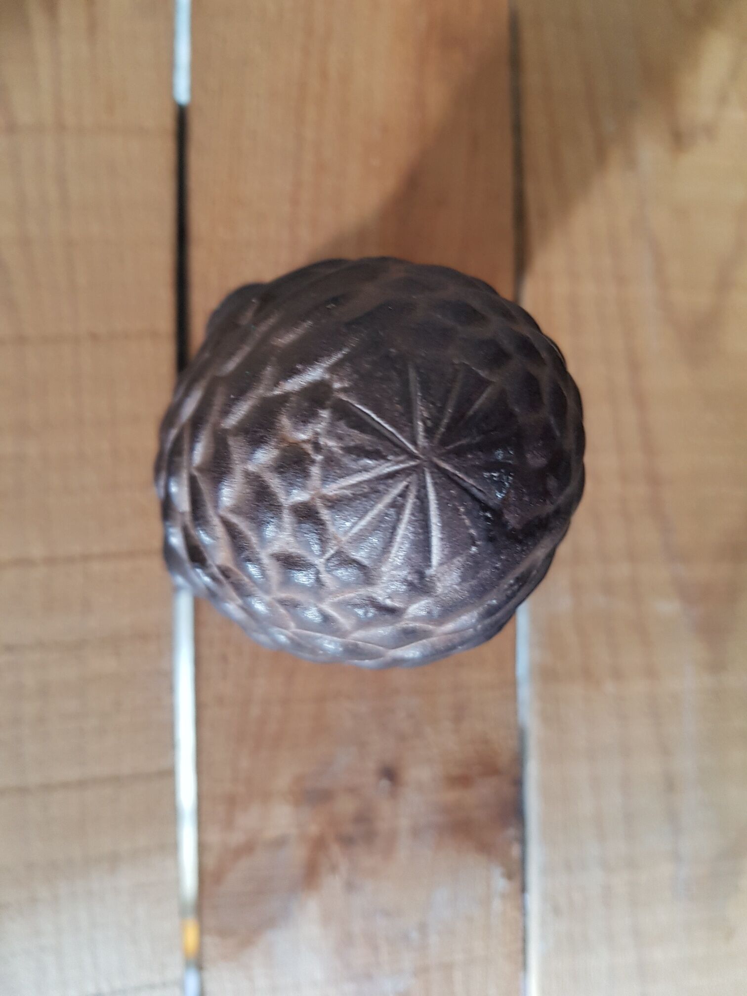 Pine cone