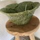 Cabbage barbotine salad bowl