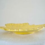 Trinket plate plane tree leaf