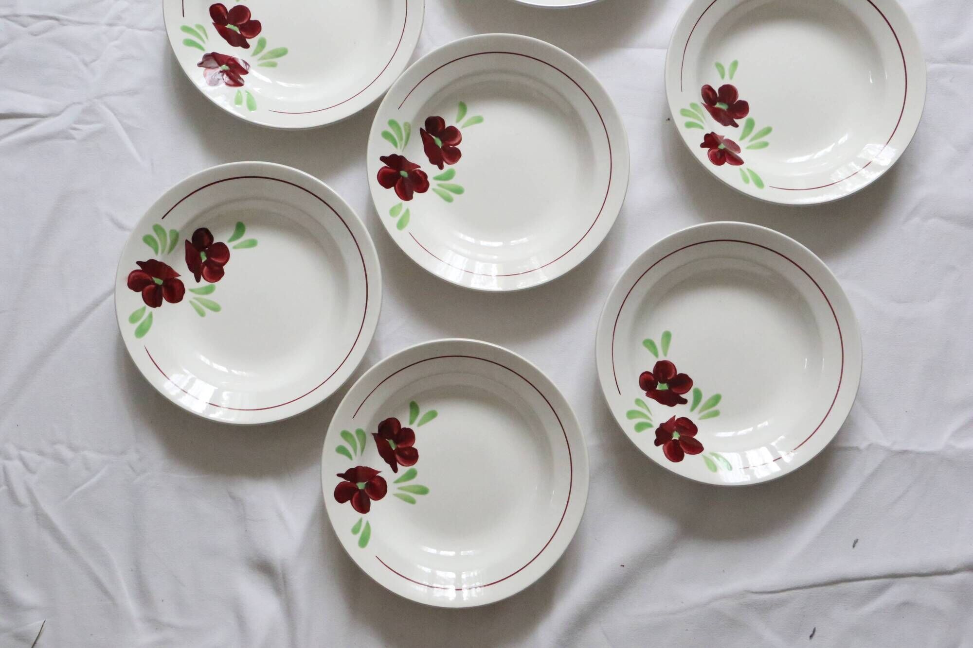 Set of 9 Salins hollow plates, Ninon pattern, French vintage, authentic, rare, countryside
