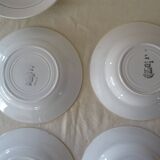 6 assiettes Saint Amand faience ancienne  381112 fleurs rose rouge