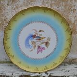 Large round dish 1900 Digoin - Sarreguemine Bird of the Islands