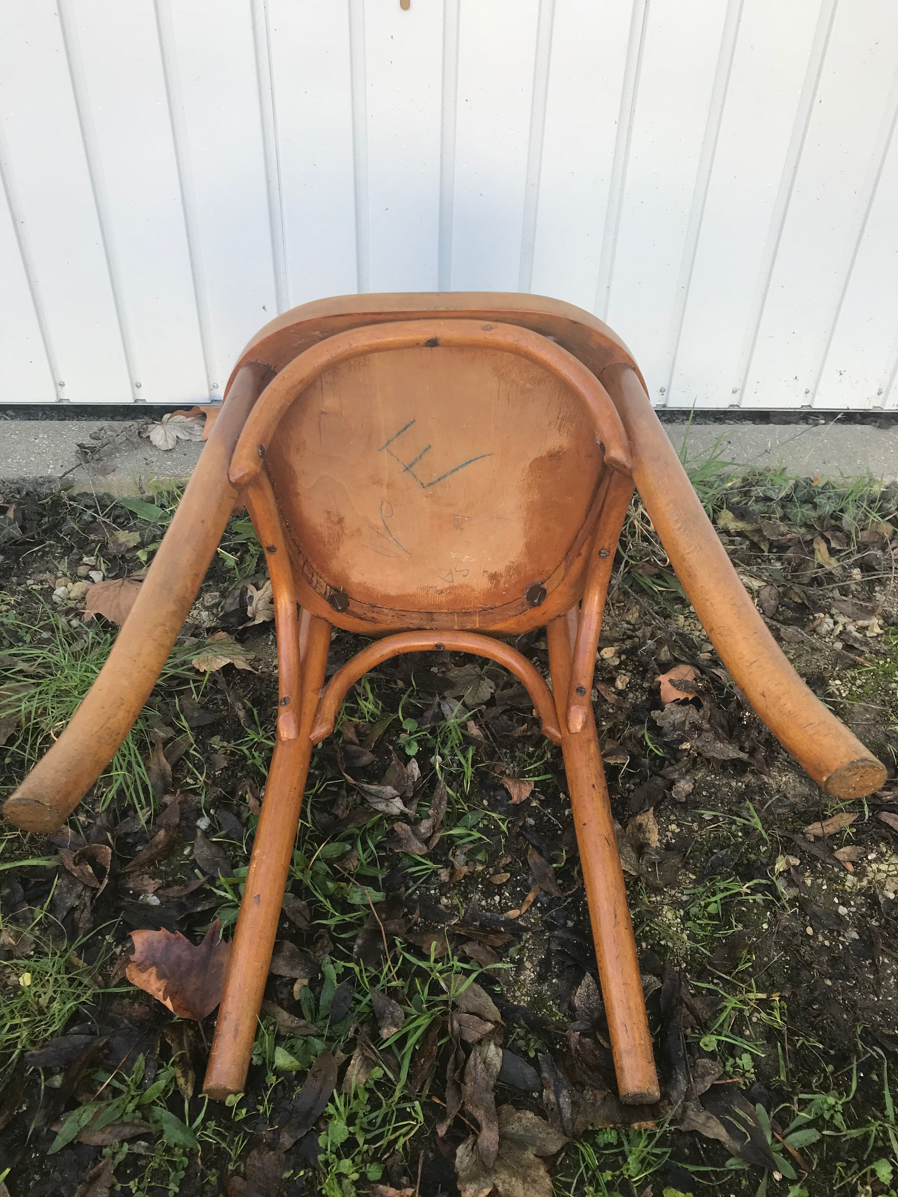 Pair of chairs bistro old vintage wood
