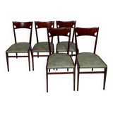 Chaises de salle à manger en bois de hêtre aux tons verts, années 1950