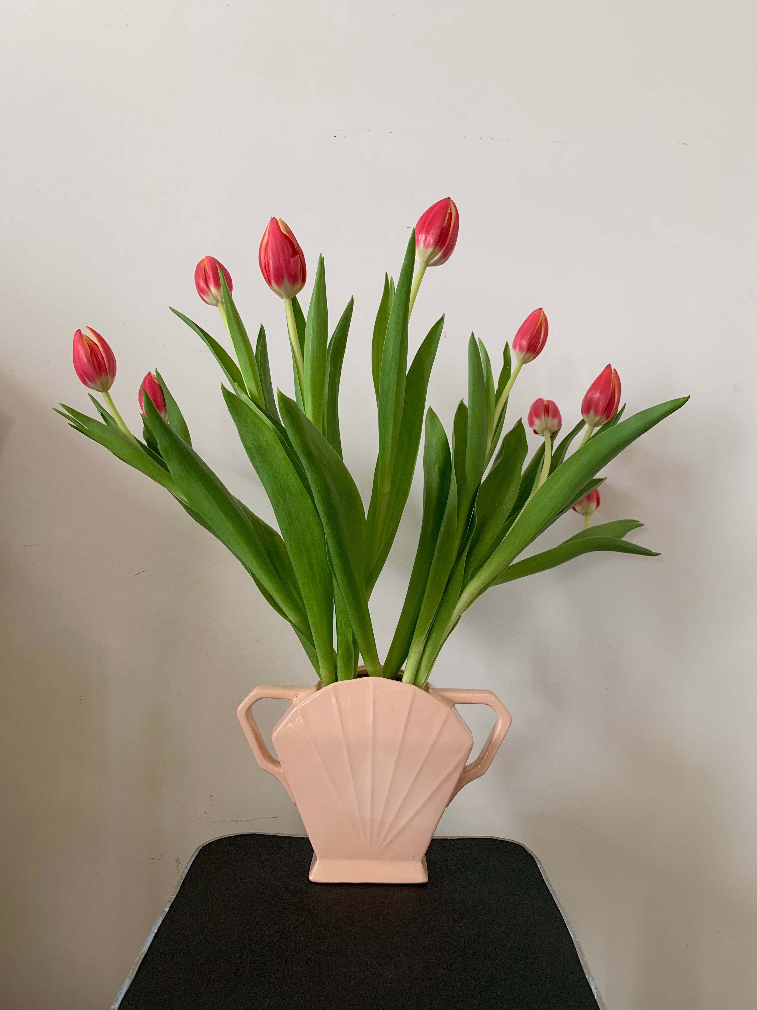 Ensemble vase et pichet art déco