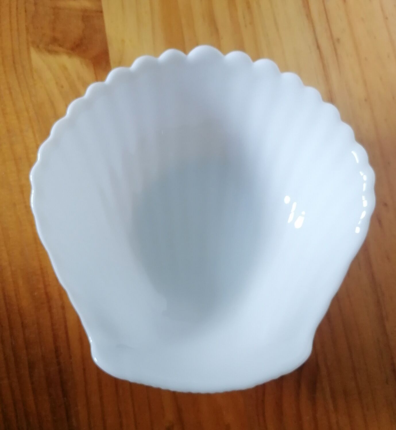 5 coupelles coquillage en opaline arcopal