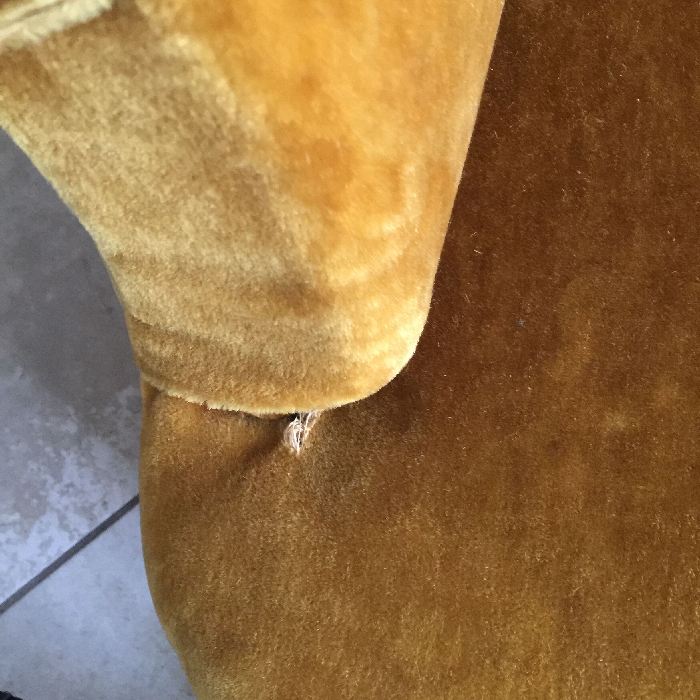 Pair of armcchairs toad