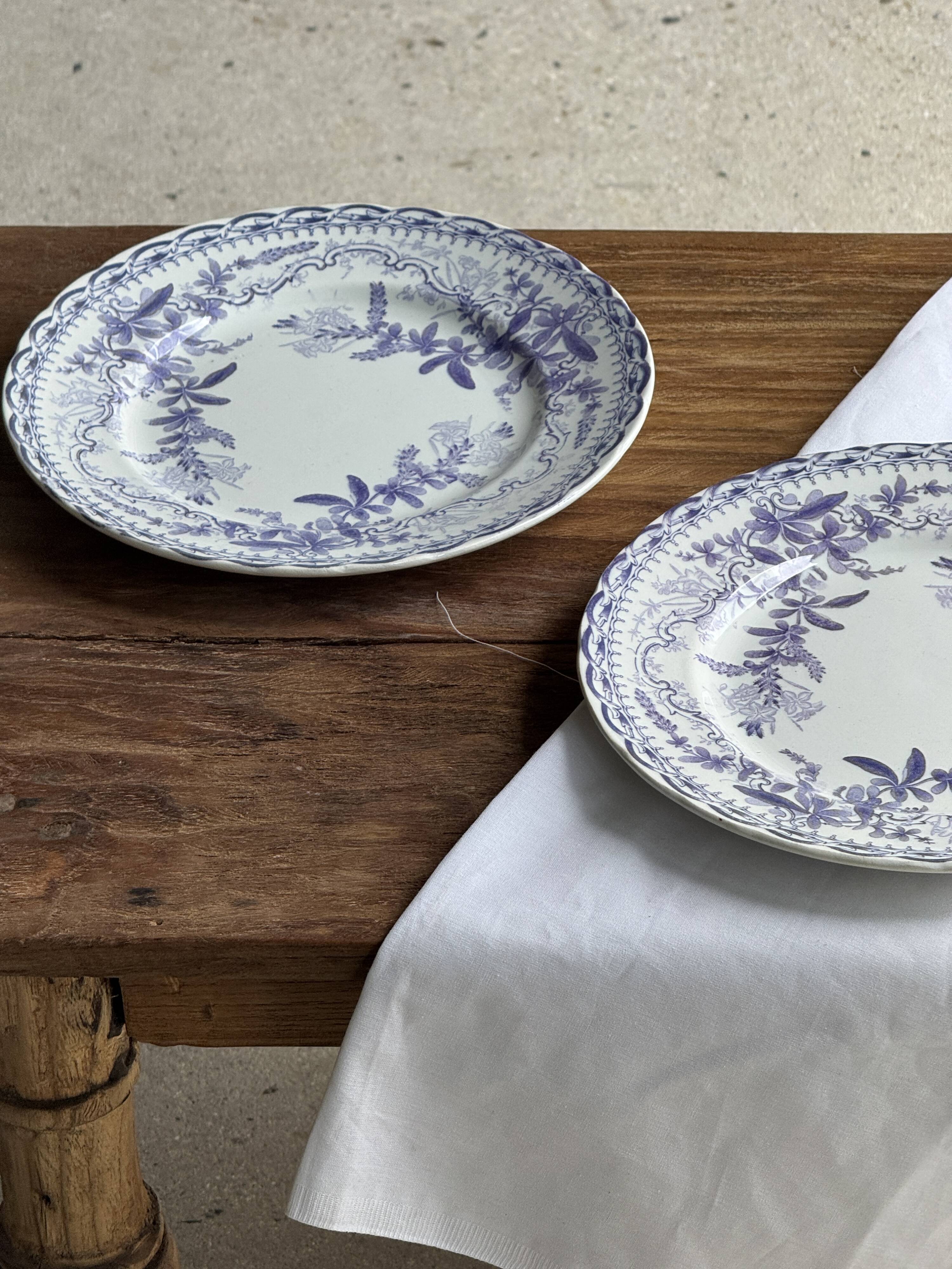 Set of 5 flat plates in earthenware with a lavender floral design H2 D22