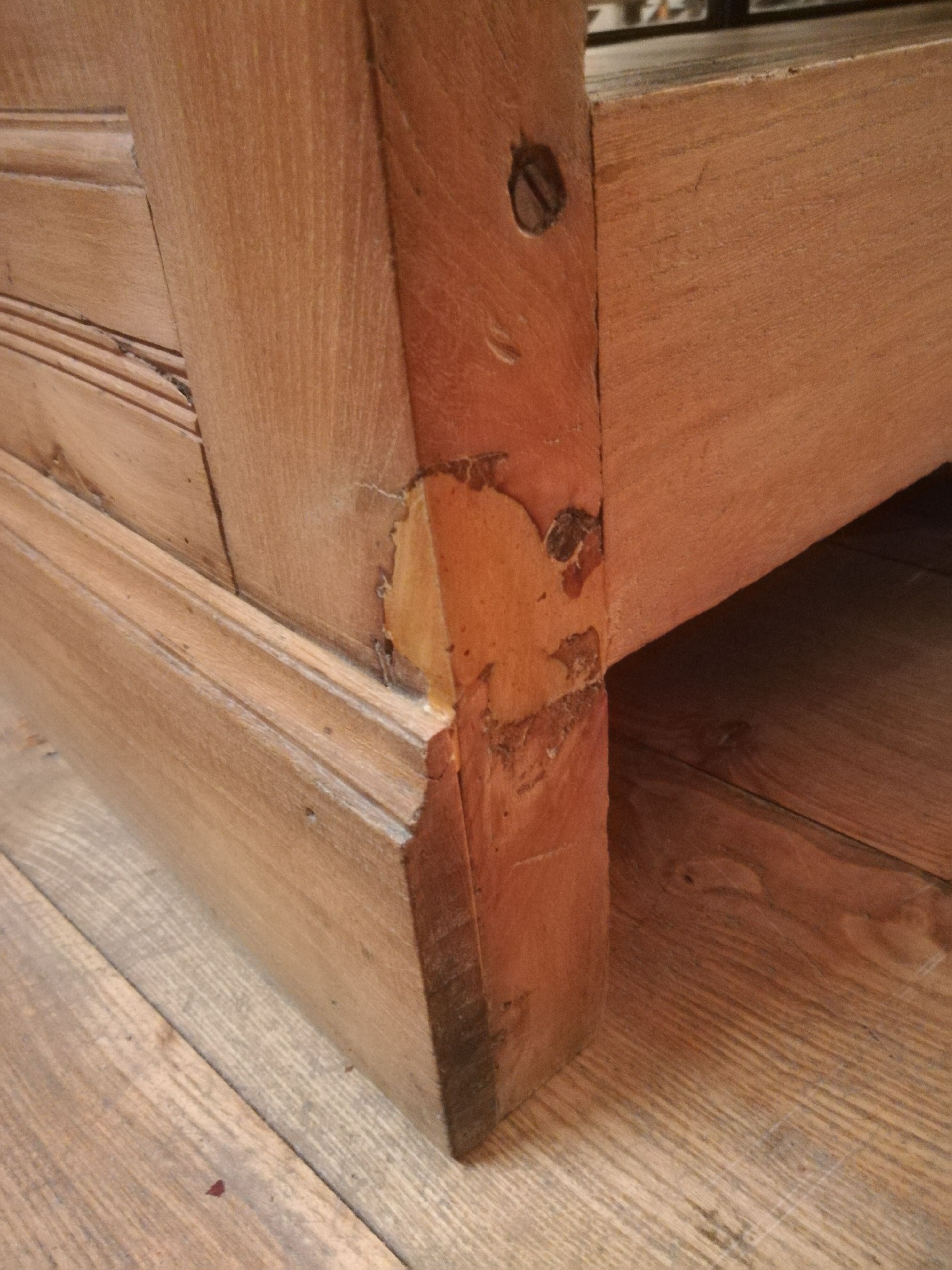 Art deco showcase counter in elm