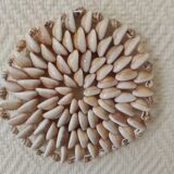 Shell decoration