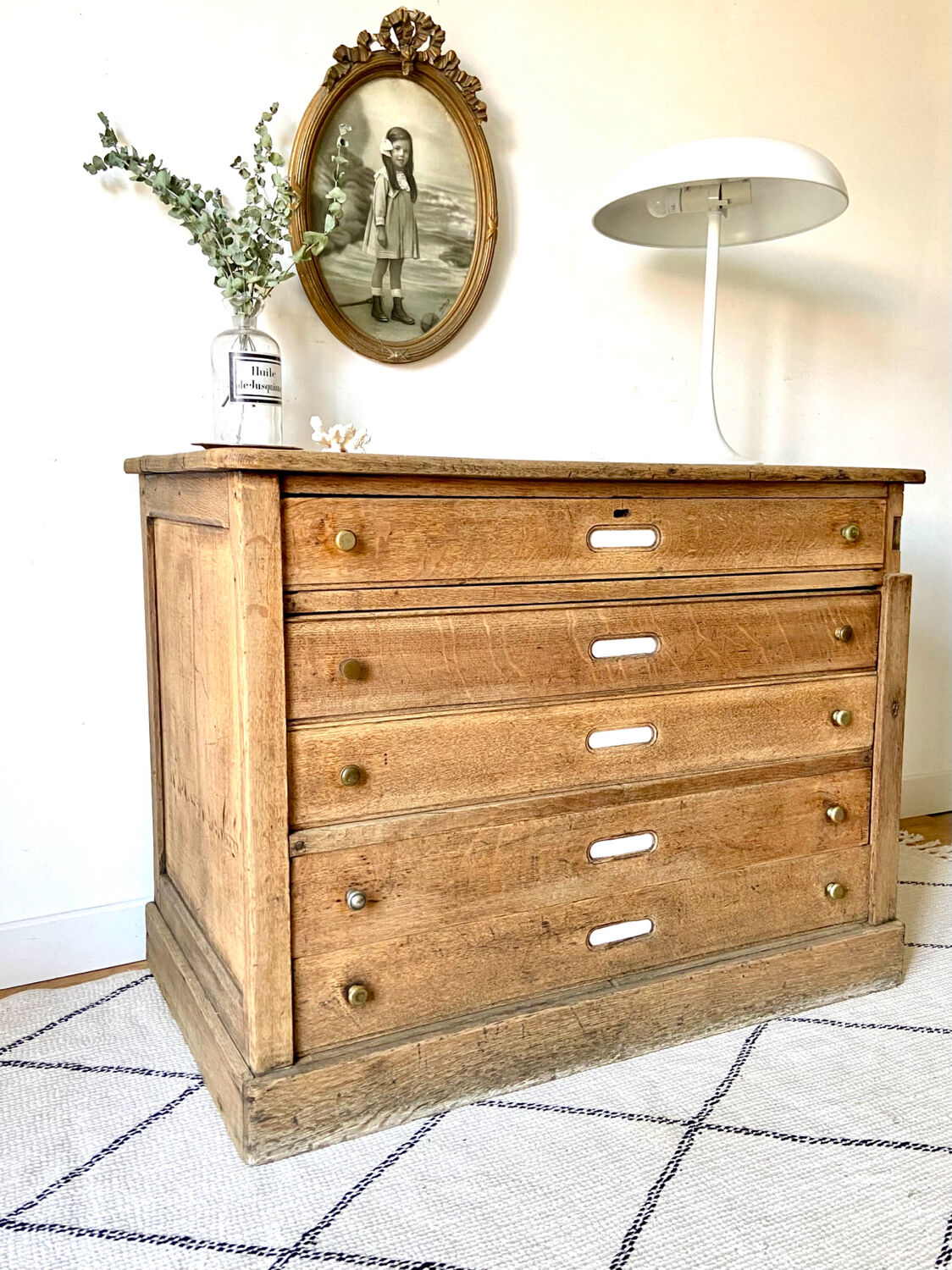 Oak professional furniture - Chest of drawers
