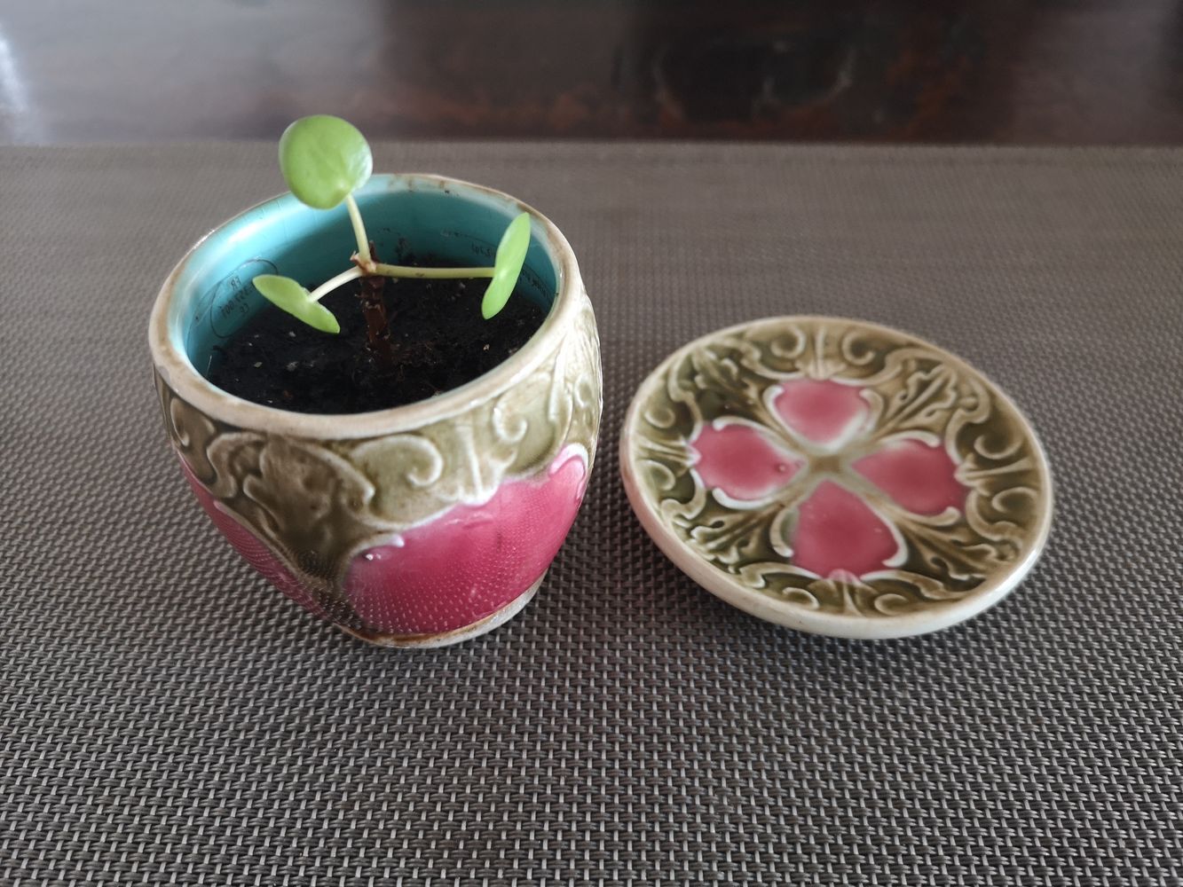 Cup and saucer in glazed ceramic end 19th