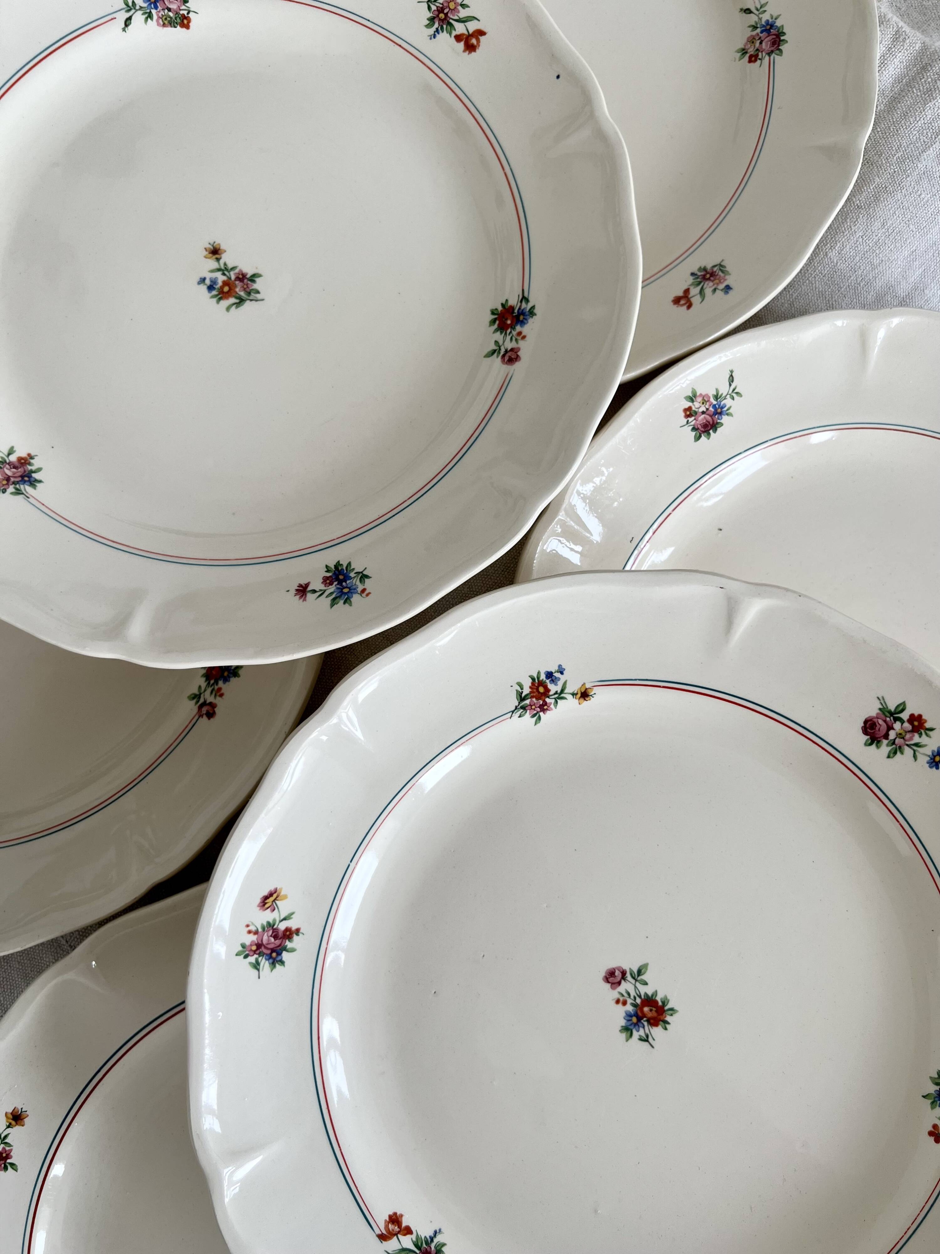 Set of 12 mdl plates - beauce model