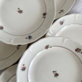 Set of 12 mdl plates - beauce model