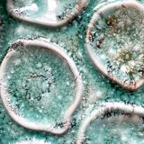 Niderviller oyster plates x12