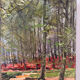 Soignes Forest, oil on canvas signed