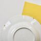 16 illustrated plates