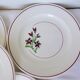 5 flat plates from Salins 210646