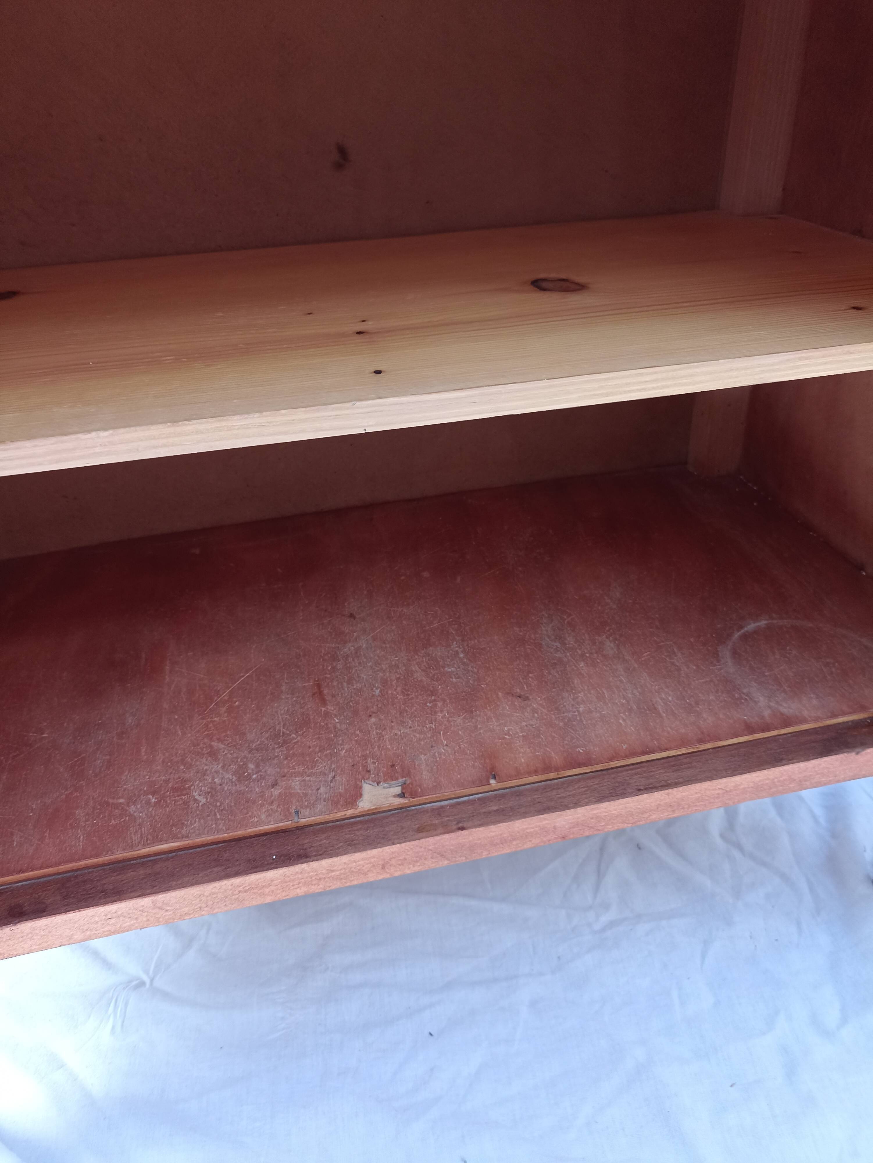 Vintage 2-door cabinet