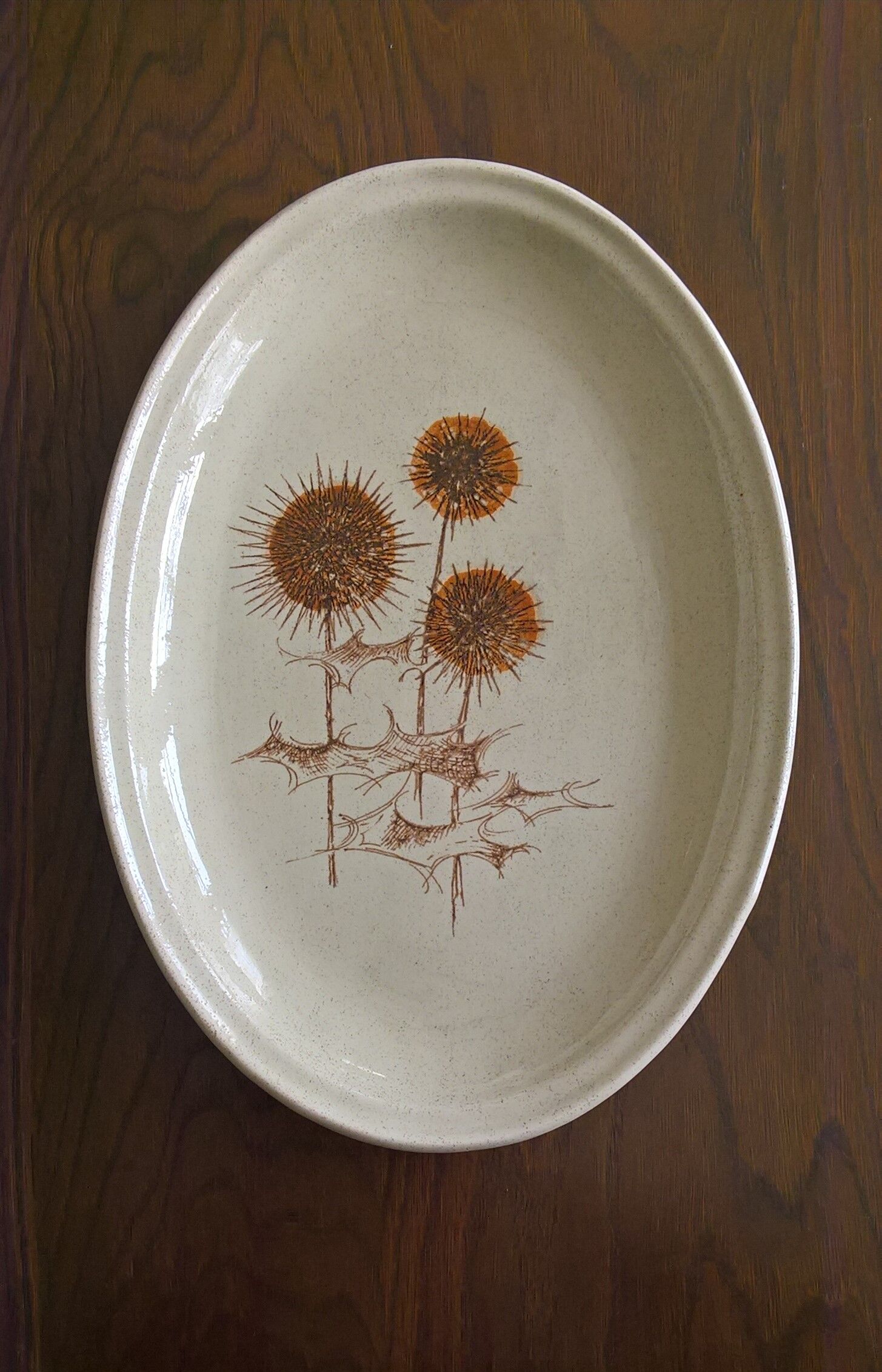 Flat thistles of sarreguemines