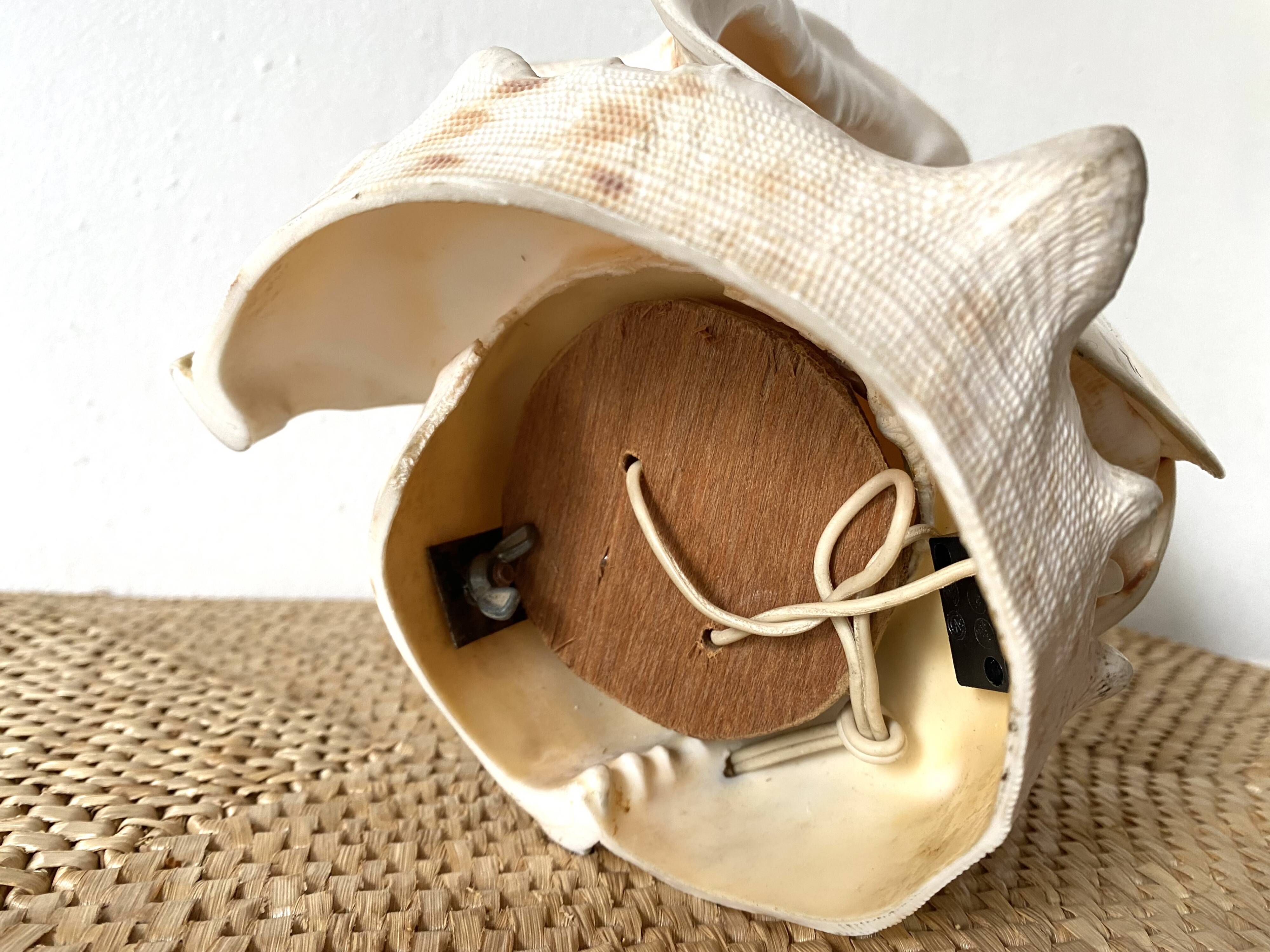 Lampe veilleuse en coquillage casque royal Tahiti