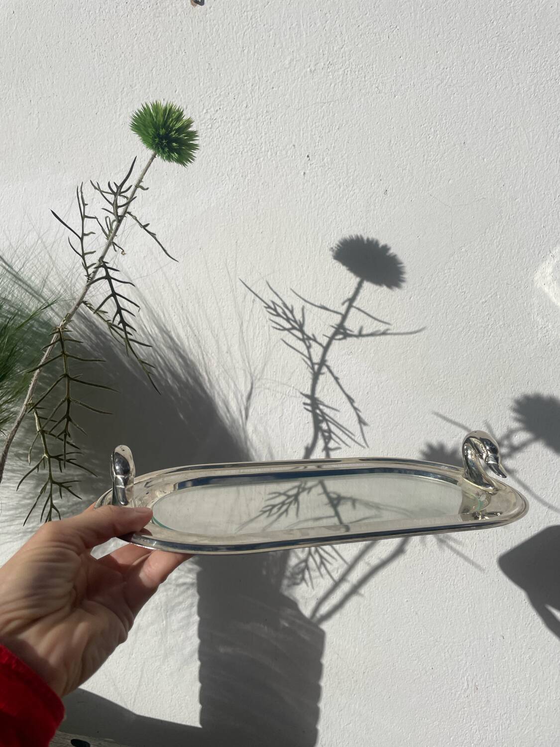 Silver-plated duck foie gras dish