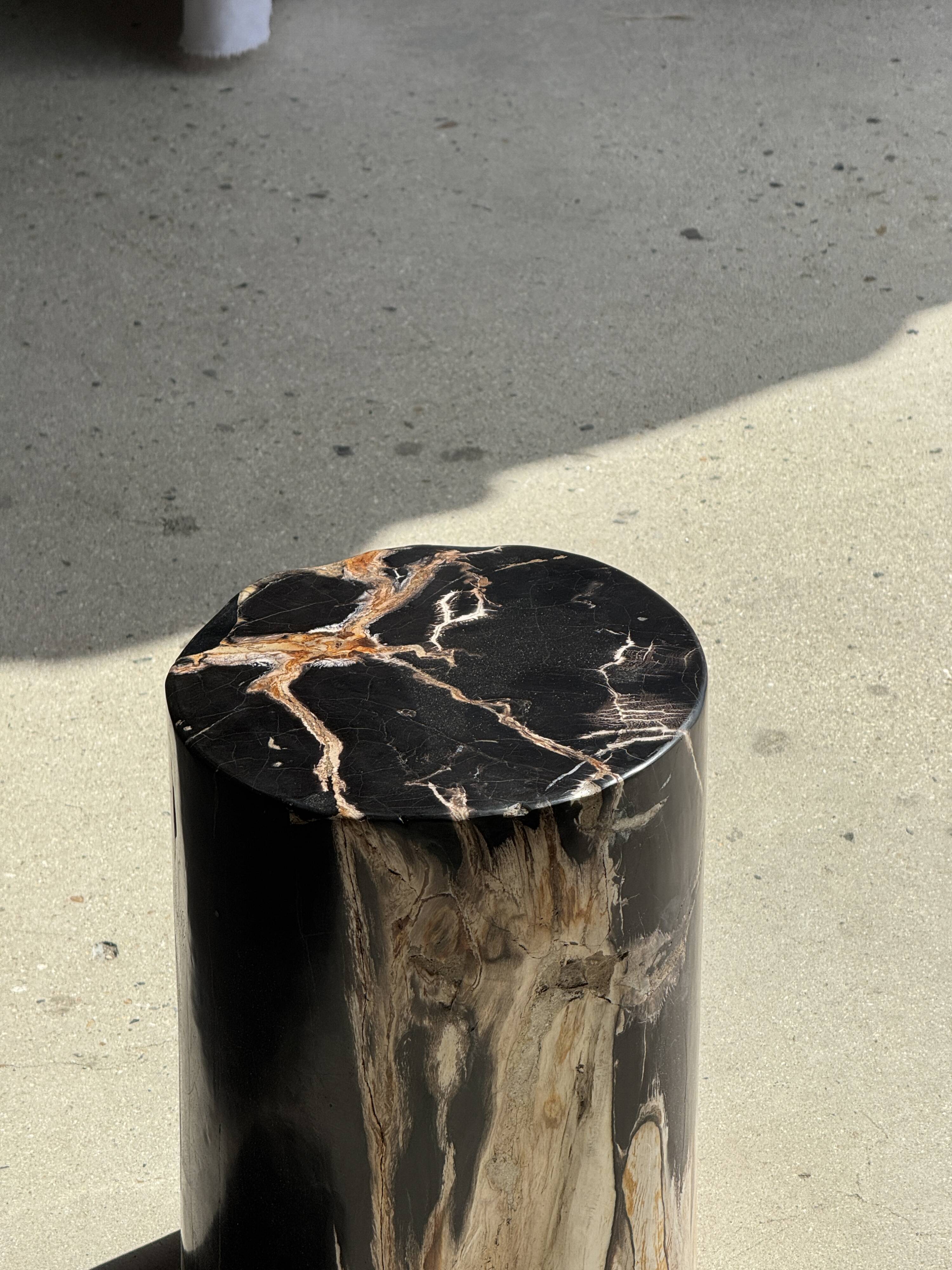Black petrified wood side table with beige stripes, star pattern H35 D24.