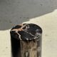 Black petrified wood side table with beige stripes, star pattern H35 D24.
