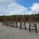 Set 6 vintage dutch spindle back rustic dining chairs De Ster